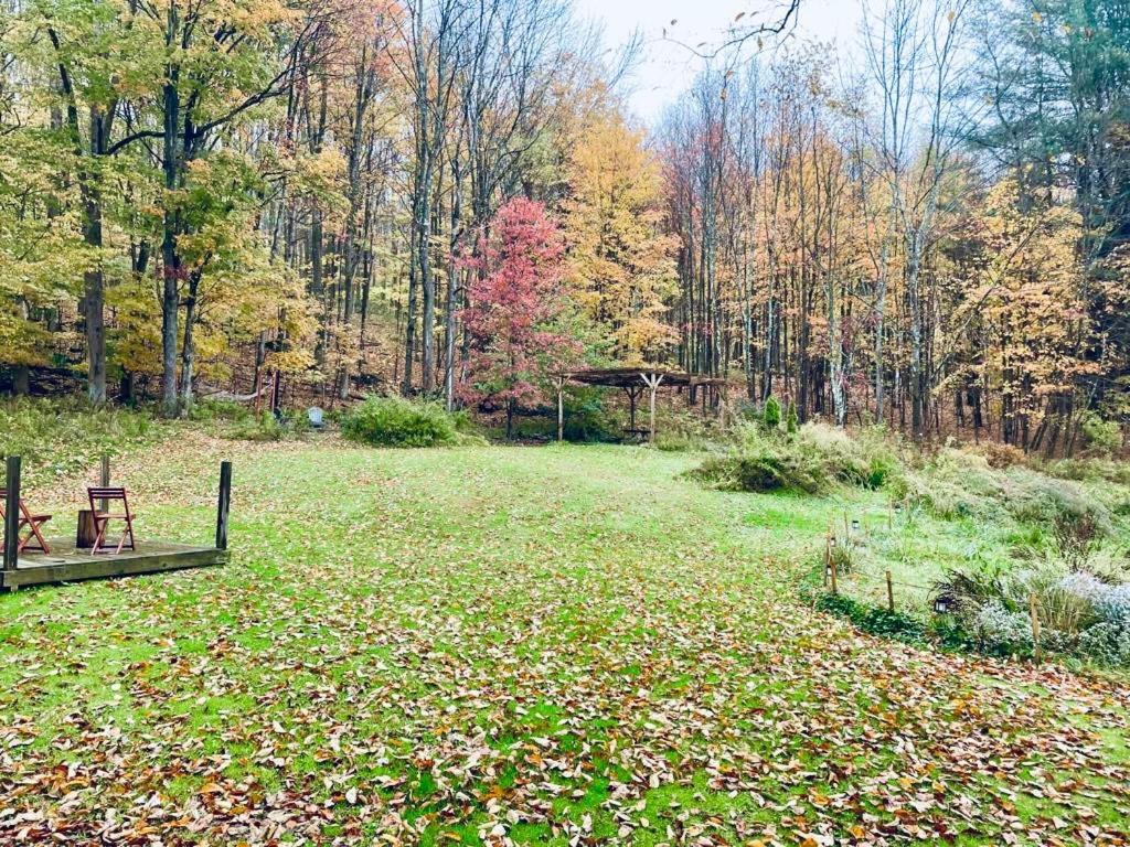 Cozy Cottage With Jacuzzi And Fire Pit And Reading Nook! Livingston Manor エクステリア 写真